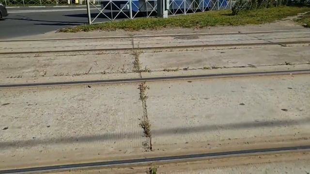 Нижний Новгород, вид снизу. Молодёжный 4б - Веденяпина 2б смотреть онлайн