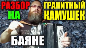ГРАНИТНЫЙ КАМУШЕК-БОЖЬЯ КОРОВКА/Разбор на баяне. Гости в моём доме. Знакомство с новыми музыкантами