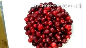 Клюква - Купить клюкву в Москве оптом