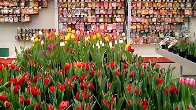 скоро 8 Марта - пора посетить цветочный магазин смотреть онлайн