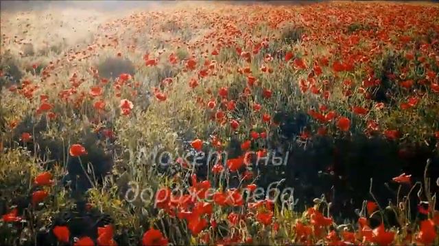 Утро Звезды гаснут в небе смотреть онлайн