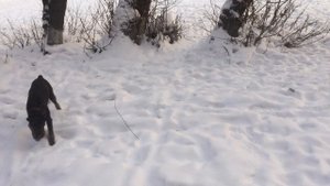 Дратхар. Тренировки продолжаются.