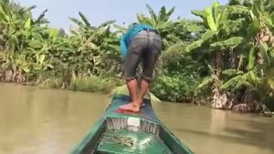 Как поймать большую рыбу