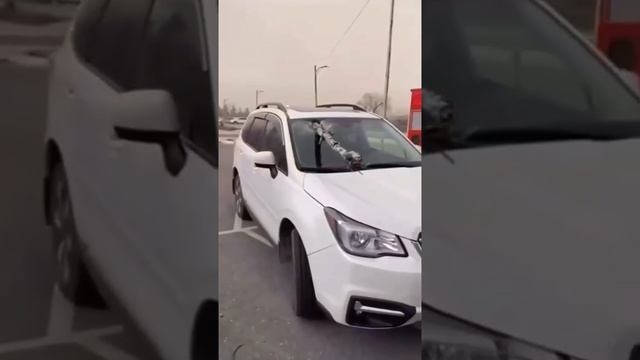 Трагедия