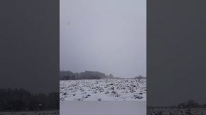 Зима