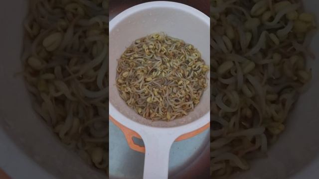Салат из проростков фасоли Маш. Вкусно и полезно! смотреть онлайн