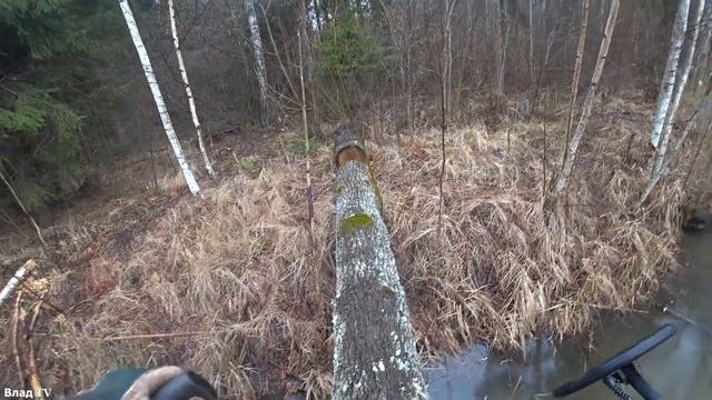 Коп в лесу. Рюкзак из Китая. Чудная тропа... начало!