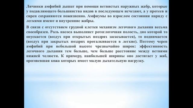 Животные (Часть 89) - Класс Земноводные (Амфибии) смотреть онлайн