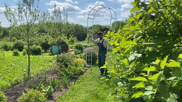 Сад преображается // Согнул арку смотреть онлайн