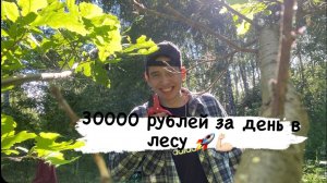 30000 РУБЛЕЙ ЗА ДЕНЬ В ЛЕСУ /БИЗНЕС НА ВЕНИКАХ /БИЗНЕС С НУЛЯ