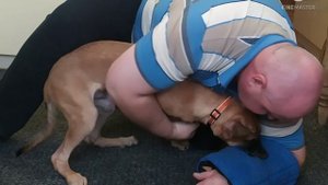 Малинуа Bel KernelDog 4 мес., приучения щенка к работе без отвлечения на раздражители, клуб DogWin.