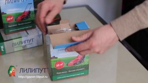 Газон Лилипут