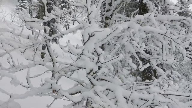 фрирайд телецкий 2021 клип смотреть онлайн