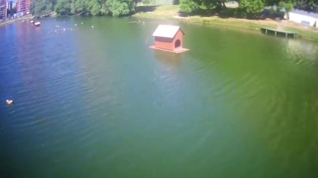 Лебединое озеро Химки смотреть онлайн