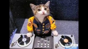 MACARENA-LOS DEL RIO