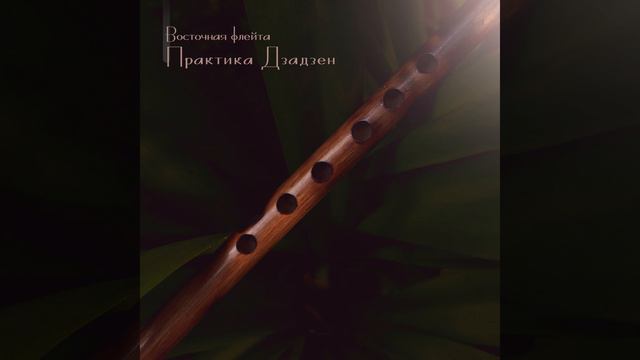 Особая медитация смотреть онлайн