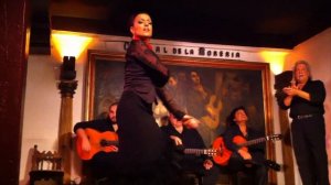 Фламенко в Мадриде - 2 часть