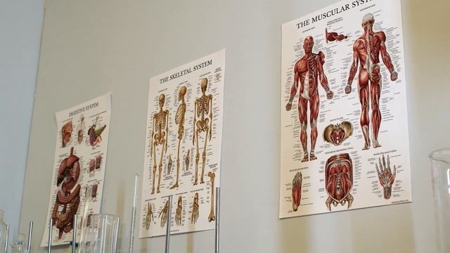 ФИБОНАЧЧИ , ЧИСЛО БОГА! ЧТО СКРЫВАЕТ ТАЙНА ЧИСЛА БОГА И ПОЧЕМУ ОНА РАСКРЫТА СПУСТЯ ВЕКА?