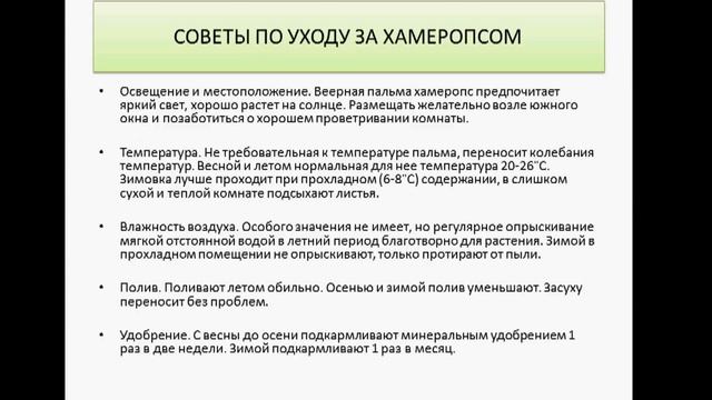 хамеропс
