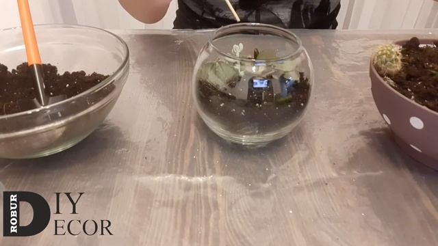 DIY / Композиция из кактусов Флорариум из суккулентов / Cactus composition Florarium of succulents смотреть онлайн
