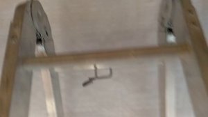 Пароизоляция чердачного перекрытия своими руками фольгированной пароизоляцией изоспан