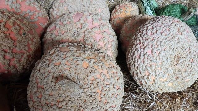 Магазины основанные на доверии | Жизнь в деревне в Швейцарии