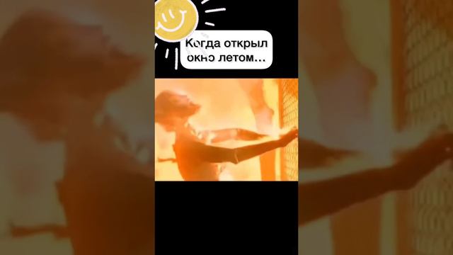 Когда на улице очень жарко ☀️