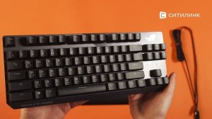 Обзор клавиатуры ASUS ROG Strix Scope TKL | Ситилинк