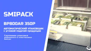 Автомат упаковочный BP800AR 350P: групповая упаковка мороженого в пластиковых боксах в термоусадку