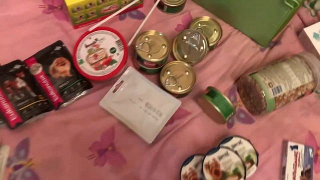 Покупки и подарки с выставки Евразия смотреть онлайн