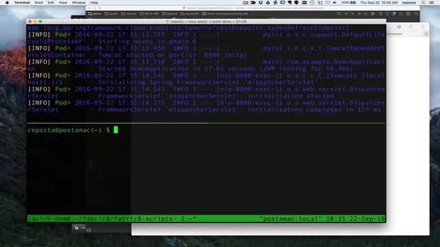 Local Java development with Kubernetes and fabric8.io смотреть онлайн