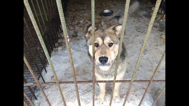 Не проходите мимо смотреть онлайн