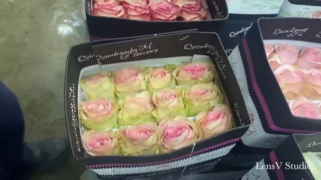 Quimbiamba Flowers -Finca de Rosa ? Процесс подготовки эквадорских роз, упаковка, на плантациях! смотреть онлайн