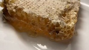 КУПИЛИ МЁД В СОТАХ/дегустация в эфире