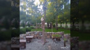 Парк Лога, Каменск-Шахтинский район, Ростов-на-Дону, июль 2021. Красивые места России.