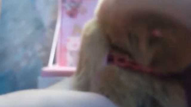 Что там такое? Обзор на кролика-брелка Карамельку! смотреть онлайн