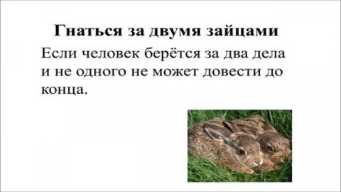 Происхождение фразеологизмов