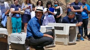 Ian Somerhalder with International Bird Rescue in San Pedro