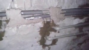 как сделать водопровод и канализацию в штробе. инсталяционные размеры
