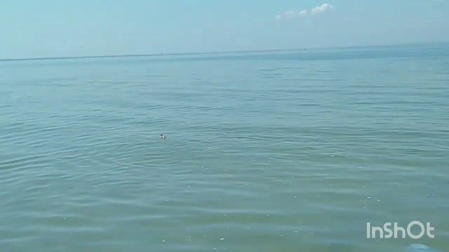Белосарайская Коса-поход в заповедник/Меотида/.