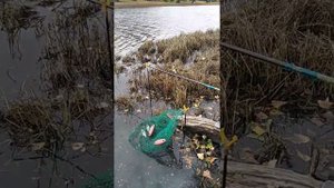 Астрахань сентябрь 2019 рыбалка отпуск Табун Арал