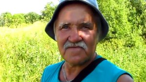 Пижма озеро... Тоншаево.