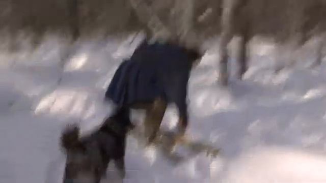 Конец земля 🌍 🌍 🌍 77700 смотреть онлайн