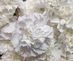 Как сделать гвоздики из бумаги.