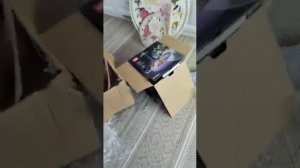 Обман Дианы Строгой.Это просто ужас!