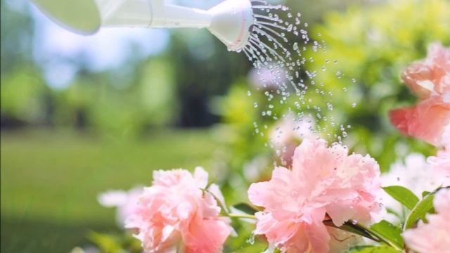 ?Стихи на праздник, универсальное поздравление? смотреть онлайн