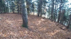 Аибга. Эндуро в Красной поляне.