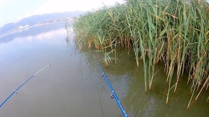 Рыбалка на солёном озере!!! Малая земля, Новороссийск.