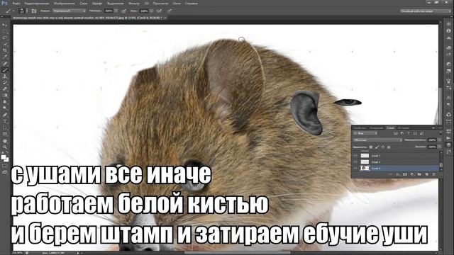 КАК СДЕЛАТЬ ИЗ ГЛАДА ВАЛАКАСА ЖИВОТНОЕ ИЛИ ПРЕДМЕТ? | ФОТОЛУП УРОКИ ОТ ЗЯБЛС #4 смотреть онлайн