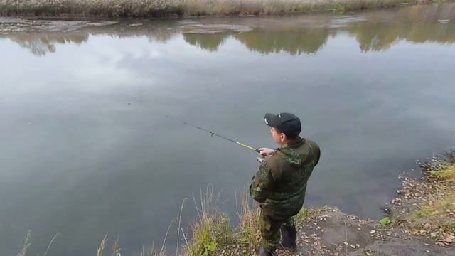 ВЛОГ КОРОТКИЙ ВЛОГ С НАШЕЙ ПРОГУЛКИ В ЛЕСУ РЕКЕ МИАСС